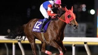 【スパーキングLC馬体重】サルサディオーネは527kg(-2)、ファッショニスタは508kg(+4)