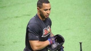 広瀬アリスも反応、ロッテ・マーティンとの激似問題が話題　「YES！　アリス！」