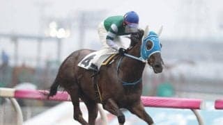 【ノースクイーンカップ予想】クオリティスタートが地元馬の意地を見せるか!?/NARレース展望