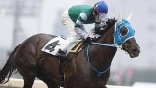 【門別競馬情報】大井から遠征ナムラメルシーらを地元大将格クオリティスタートが迎え撃つ「第19回ノースクイーンカップH2」/地方競馬情報