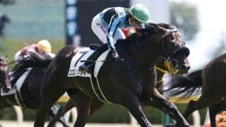 【次走】3勝目挙げたココロノトウダイはセントライト記念へ