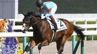 【中京記念 出走馬・騎手確定】ギルデッドミラー＆北村友一騎手、ケイアイノーテック＆岩田望来騎手など18頭