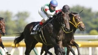 【函館記念 予想オッズ】重賞2勝目を狙うレイエンダが人気の中心