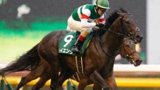 【函館記念 出走馬・騎手確定】レイエンダ＆ルメール騎手、トーラスジェミニ＆木幡育也騎手など16頭