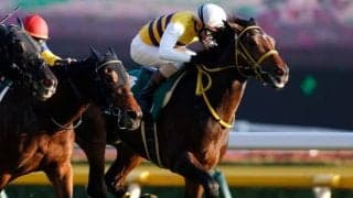 【函館記念】回避はなくドンアルゴスが除外に