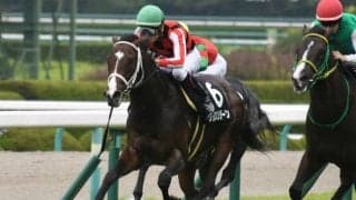 【中京記念】プロディガルサン・レッドアネモスが除外、サフランハートは福島テレビOPに、スイーズドリームスが回避でプリンスリターンが出走