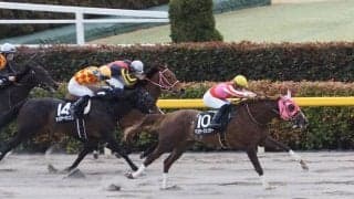 【マーキュリーC】JRA出走予定馬