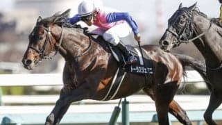 【函館記念枠順確定】レイエンダは1枠1番、トーラスジェミニは5枠10番