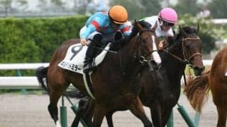 【中京記念枠順確定】ギルデッドミラーは7枠15番、ソーグリッタリングは6枠11番