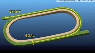 【函館2歳S コース解説】「上りスタート＆直線下り」がポイント