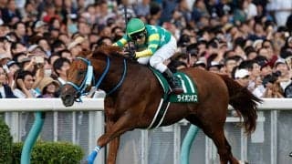 【アイビスSD想定】ラブカンプーは藤田菜七子騎手、ライオンボスは鮫島克駿騎手