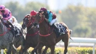 【海外競馬】香港2019/20シーズン年度代表馬はエグザルタント！ G1連勝で締めくくる　他にビートザクロック・ビューティージェネレーションら受賞
