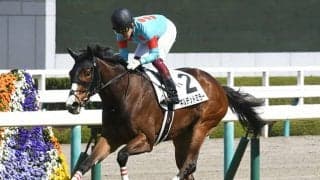 【中京記念予想】 斤量に恵まれた3歳馬が有利!? 舞台替わりで混戦模様の一戦をパドックの達人が一刀両断！/JRAレース展望