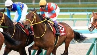 【本日の注目ポイント】2歳世代最初のJRA重賞・函館2歳S、阪神ではリステッド・ジュライS