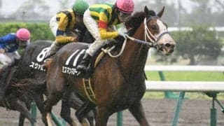 種牡馬引退のクロフネ・タニノギムレット　今週はそれぞれ11・4頭が出走