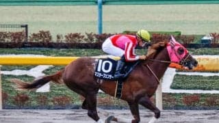 【盛岡・マーキュリーC枠順確定】マスターフェンサーは3枠3番、デルマルーヴルは6枠9番