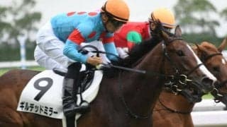 【中京記念前日オッズ】3歳牝馬ギルデッドミラーが4.0倍で1番人気