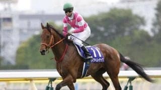 【中京記念予想】チークピーシズで久しぶりの勝利へ！ケイアイノーテック/JRAレース展望