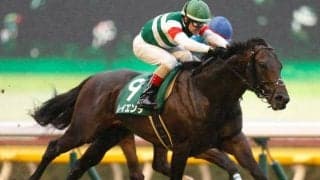 【本日の注目ポイント】3場共に開催最終日　中央では函館記念と中京記念、地方でも4重賞