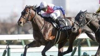 【函館記念ゴールデンコンビ】「直近5年」の単勝回収率は951.5％！「小桧山悟厩舎×木幡育也騎手」のトーラスジェミニ