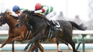 【函館記念予想】今後の飛躍へ向けて　カウディーリョに期待/JRAレース展望