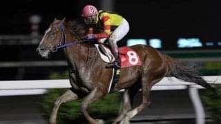 【トレノ賞予想】安定スペルマロンか鬼脚ダノングッドか/NARレース展望