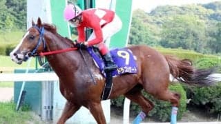 【吉野ヶ里記念予想】11連勝中ドラゴンゲートの相手探し。ハイペースでオイカケマショウが浮上しないか/NARレース展望