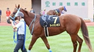 【アイビスSD見どころ】ライオンボスが連覇に挑む