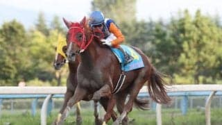 【金沢スプリントC枠順確定】重賞3勝ロンギングルックは3枠3番、5連勝セイプレジールは4枠4番