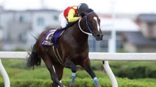 【習志野きらっとスプリント枠順確定】DG競走2勝ノブワイルドは7枠12番、東京スプリント3着キャンドルグラスは2枠2番
