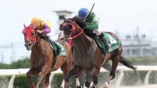 【名古屋・名港盃枠順確定】11歳馬メモリージルバは7枠10番、重賞10勝エイシンニシパは8枠11番