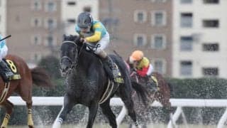 【盛岡・マーキュリーC予想】 中心はJRA勢も波乱の片棒を担ぐのは地方馬!? 地元TMが狙う穴候補とは？/地方競馬レース展望