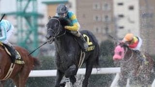 【マーキュリーC予想】実績上位のデルマルーヴルとマスターフェンサーの戦いに注目!!/NARレース展望