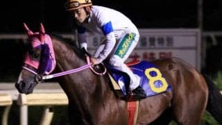 【金沢スプリントC予想】JRA交流でも勝利のナリタミニスターか、末脚魅力エイシンデジタルか/NARレース展望