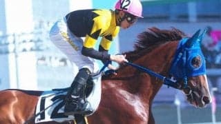 【門別競馬情報】函館2歳S 0秒8差で健闘のラジアントエンティに今後も注目！今夜メインは2連勝中ラステラデファルコが人気の中心「モーニン賞」/地方競馬情報