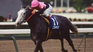 ビワハヤヒデが死亡、30歳　1993年菊花賞などGI・3勝、弟にナリタブライアン