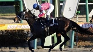 【浦和・プラチナC枠順確定】移籍2戦目ベストマッチョは2枠2番、13戦11勝ダノンレジーナは6枠6番