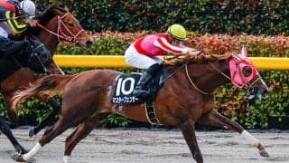 【マーキュリーC・馬体重】マスターフェンサーは503kg(+7)、ヒストリーメイカーは523kg(-3)