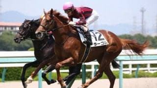 【新馬/阪神5R】オルフェーヴル産駒 ラーゴムがデビューV