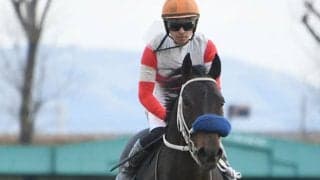 【先週のJRA抹消馬】オープン馬ダノンフェイス、サトノアラジン弟サトノケンシロウなど