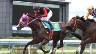 【金沢スプリントC結果】兵庫のナリタミニスターが押し切り重賞初V