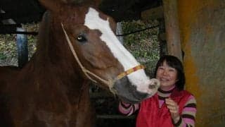 助けられない馬たちの救済を目指して…あしずりダディー牧場