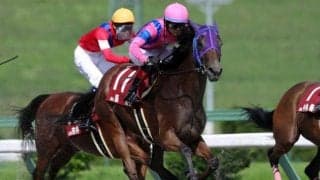 【YJS・TR暫定順位】東日本はJRA・地方競馬でそれぞれ原優介騎手、関本玲花騎手がトップ