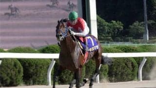 【地方競馬】毎年の目標は霧島賞、松浦聡志調教師と九州産馬“キヨマサ”の挑戦