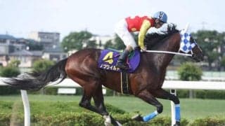 【習志野きらっとスプリント予想】スーパースプリントシリーズ2020ファイナル!!頂点に立つのはどの馬か!?/NARレース展望