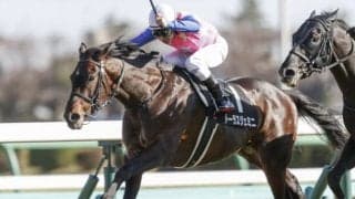 【次走】函館記念で4着のトーラスジェミニは札幌記念へ