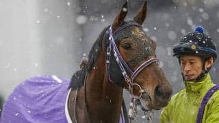 【クイーンS想定】重賞連勝中フェアリーポルカ、府中牝馬S覇者スカーレットカラーなど