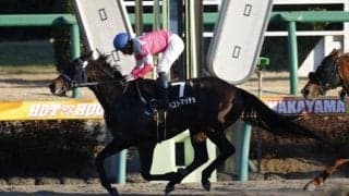 【プラチナカップ予想】ベストマッチョが重賞初制覇なるか!?/NARレース展望