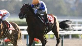 【次走】ロードクエストは久々の中距離戦を視野　小倉記念か新潟記念