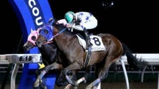 【門別競馬情報】ダービー馬アベニンドリーム「二冠」なるか？道中の攻防次第で伏兵の台頭も「第41回 王冠賞H2」/地方競馬情報